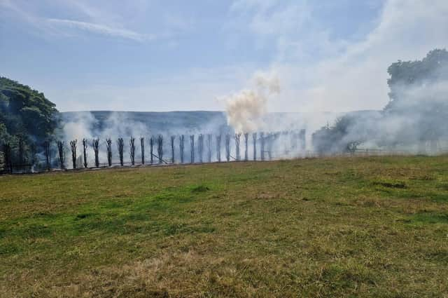 Snapped pylon wire starts partial forest fire and power outages in Barnsley