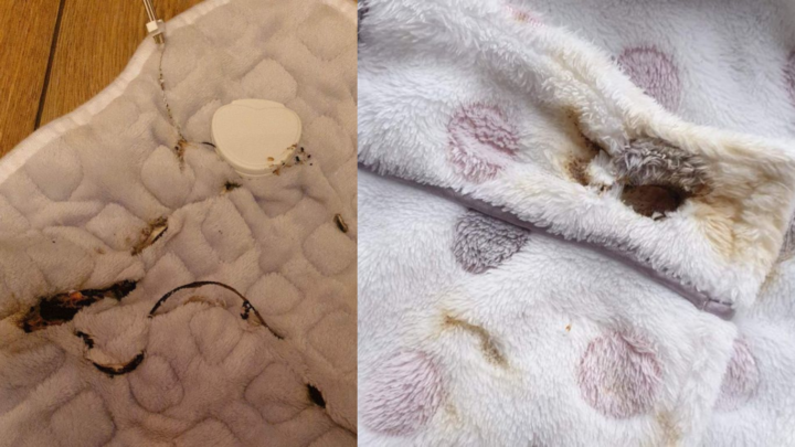 New electric blanket caught fire whilst woman sat with it on her knee