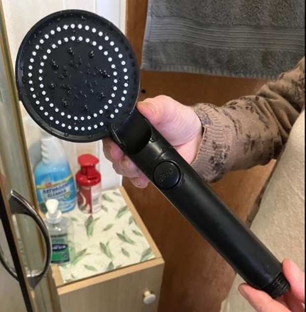 shower head recall